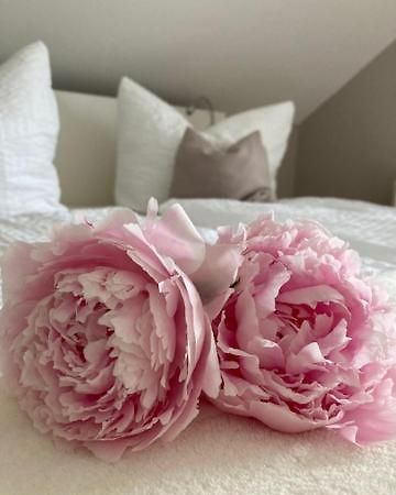 Beiersdorf Landzauber Apartment Ferienwohnung מראה חיצוני תמונה